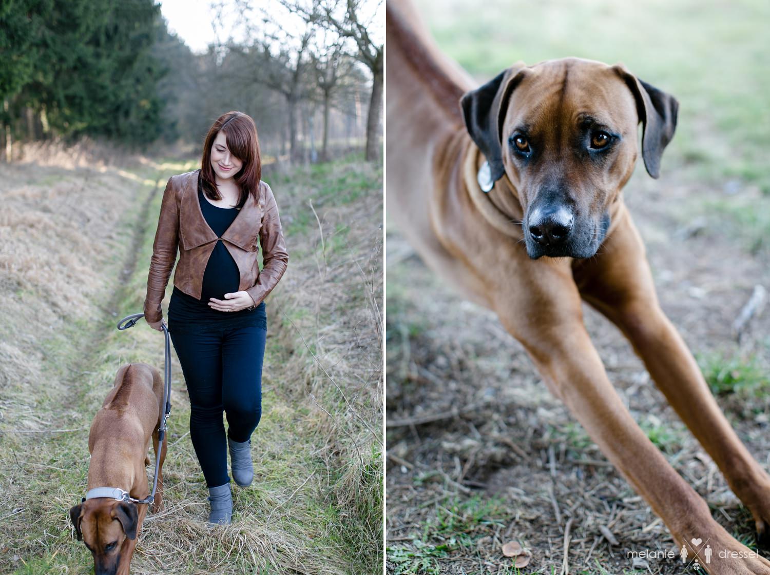 Schwangere Frau mit Hund bei Spaziergang, Schwangerschaftsfotografie in Gera